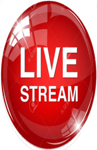 Live Stream